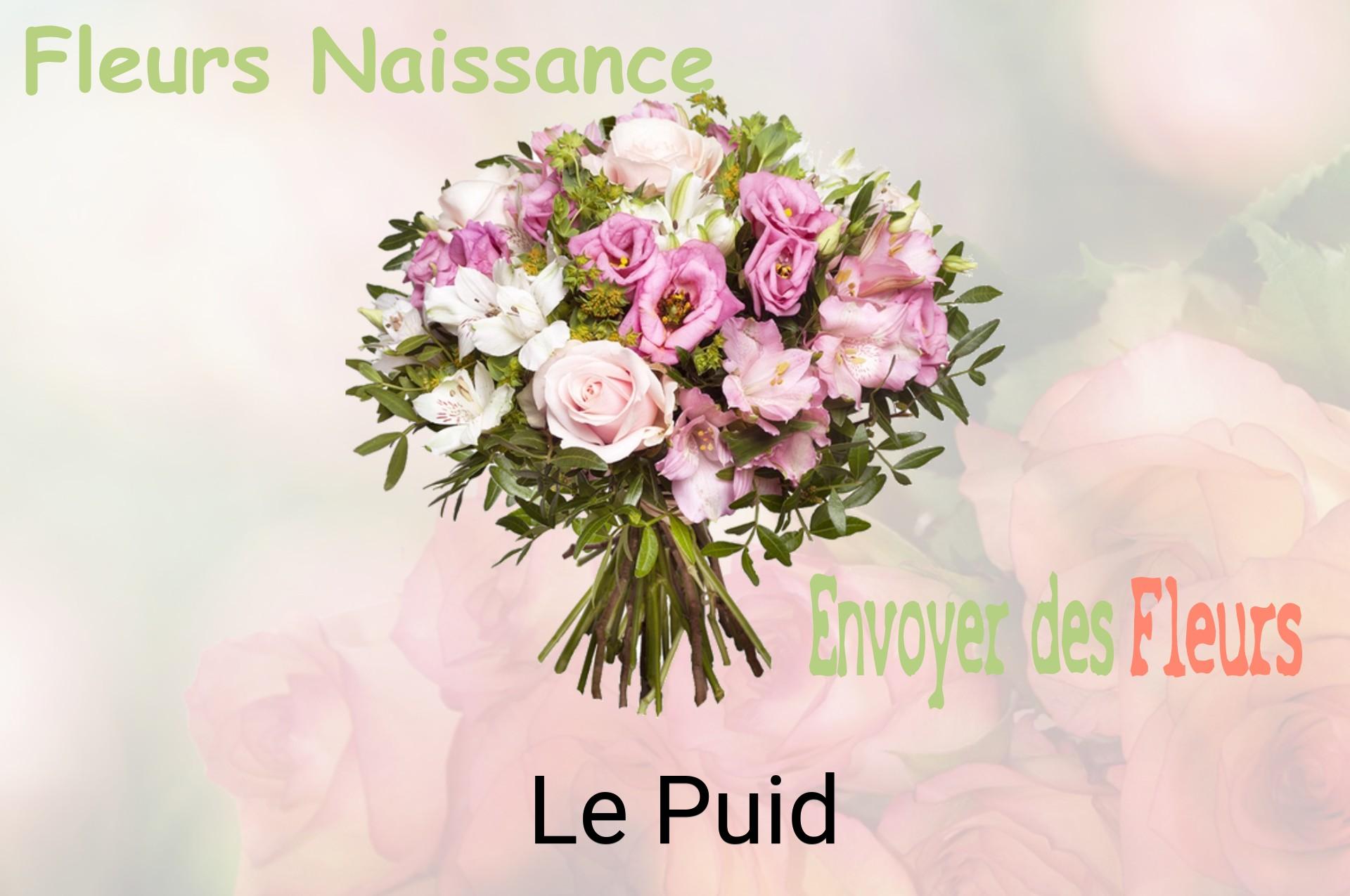 Bouquet de fleurs de naissance livré à Le Puid