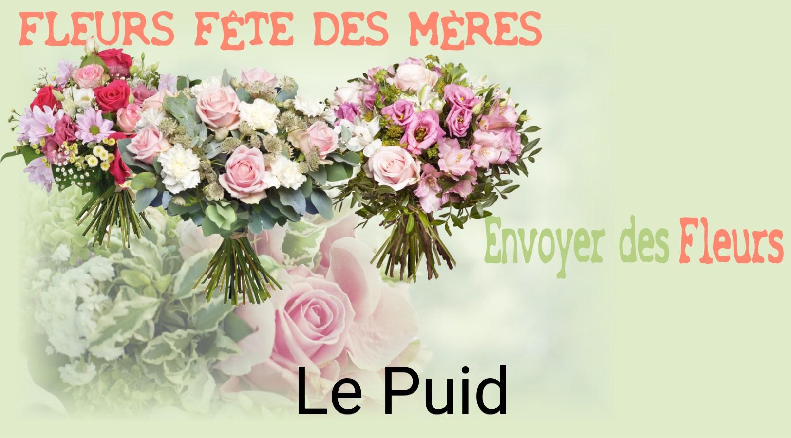 Bouquet de Fête des Mères livré à Le Puid